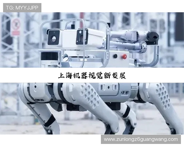 最新ag尊龙官方网站优惠活动介绍，丰富奖励等你来领取