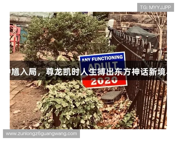 用尊龙凯时的智慧，领悟人生的博弈与成功之道