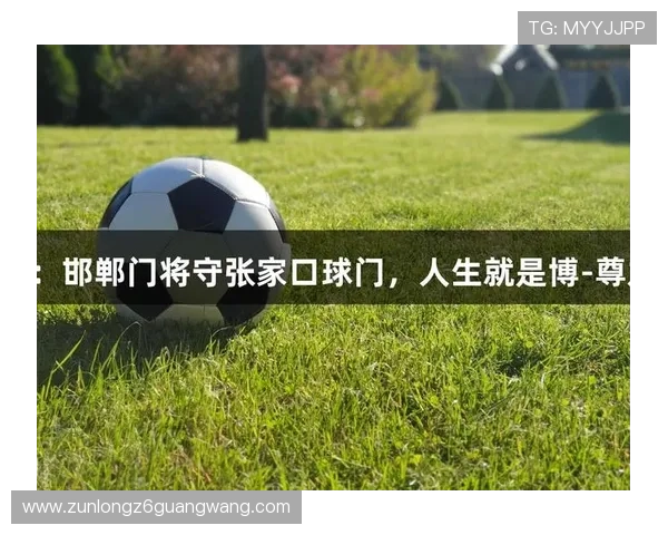 真龙凯时人生就是博：从失败中汲取力量，成就更加精彩的人生旅程